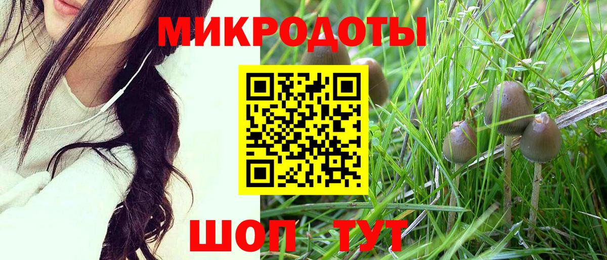 Псилоцибиновые грибы мухоморы Кимовск