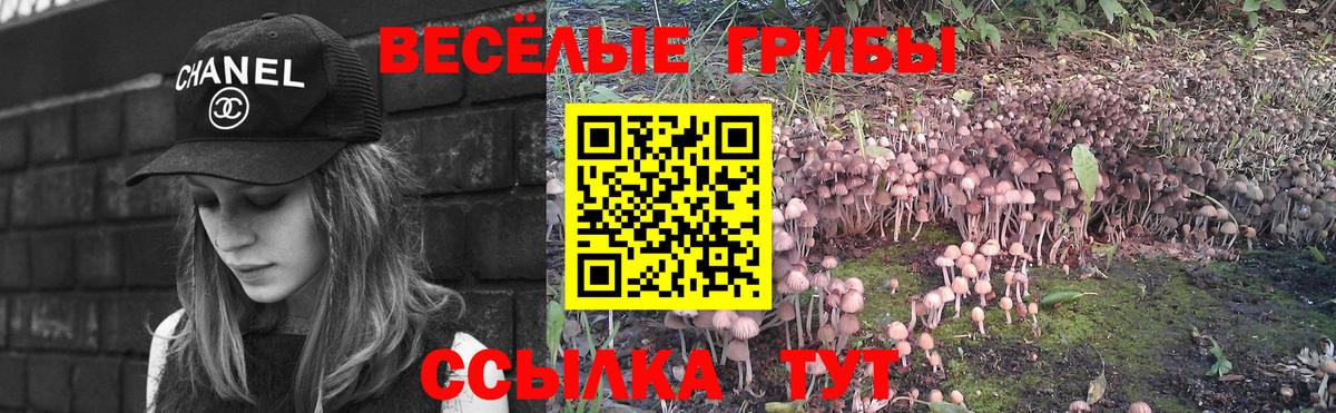 Псилоцибиновые грибы Cubensis  Вход с VPN  Кимовск 